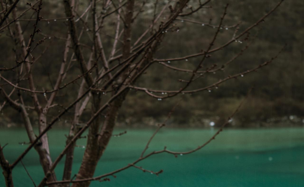 Kuca Lavanda Dreznjak Bagian luar foto