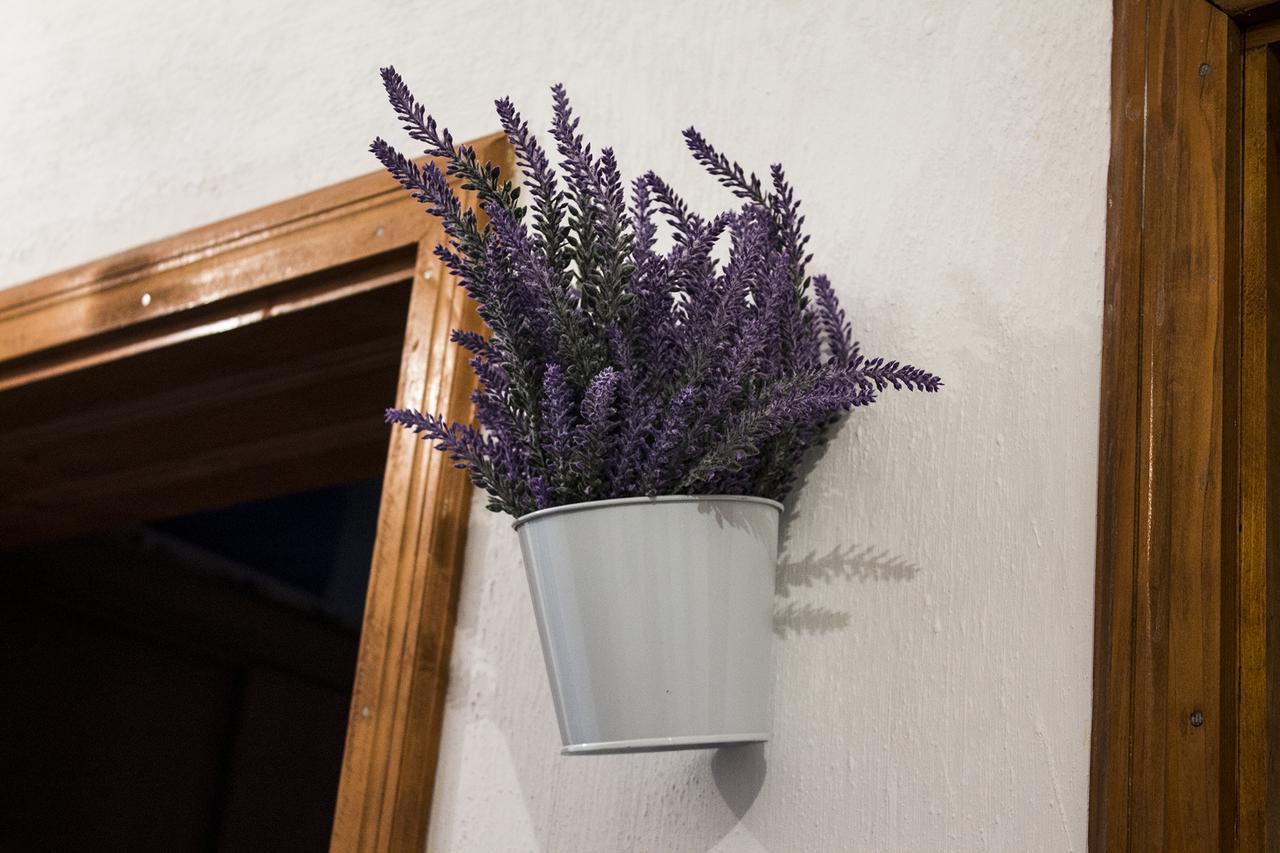 Kuca Lavanda Dreznjak Bagian luar foto