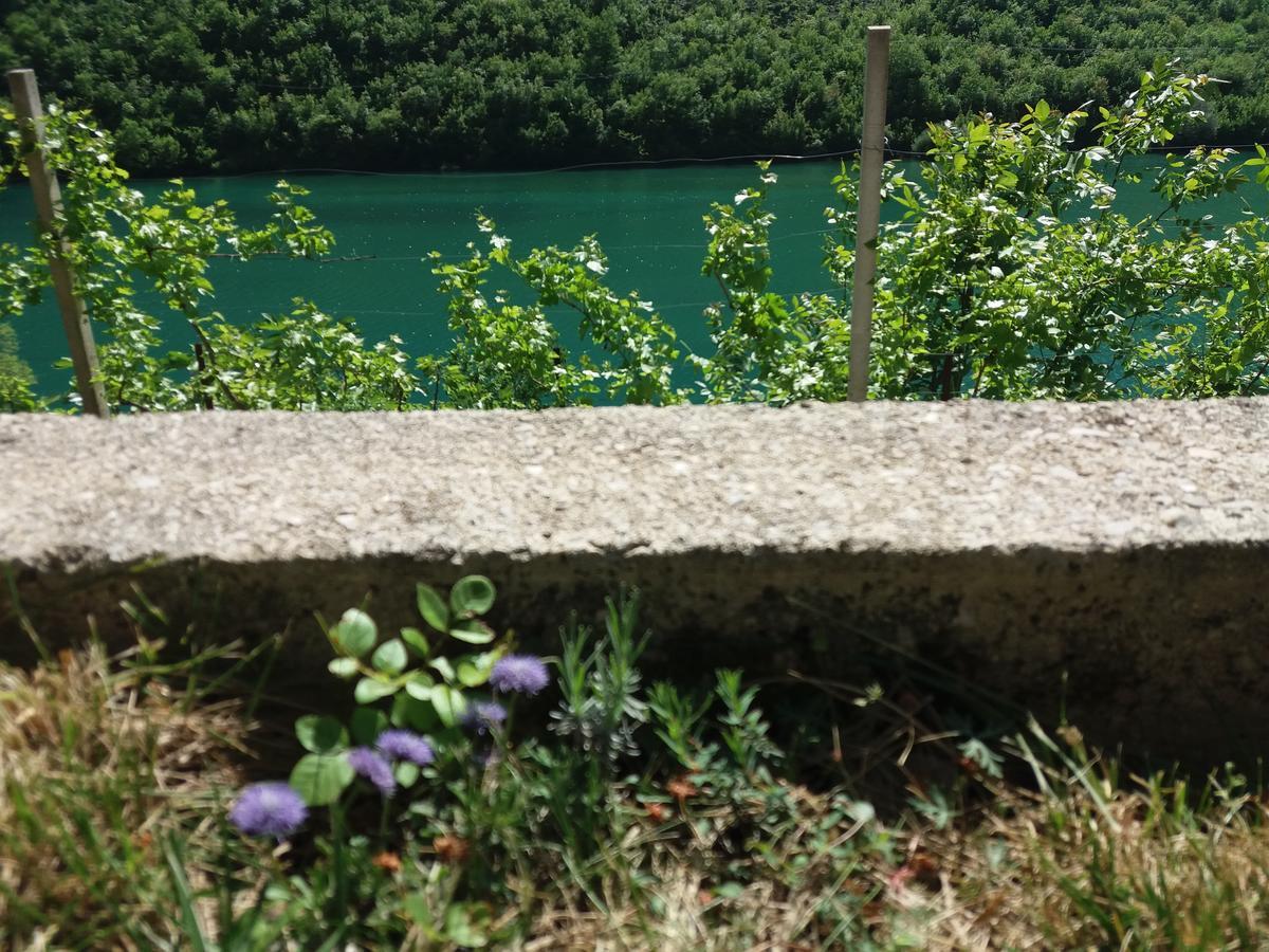 Kuca Lavanda Dreznjak Bagian luar foto