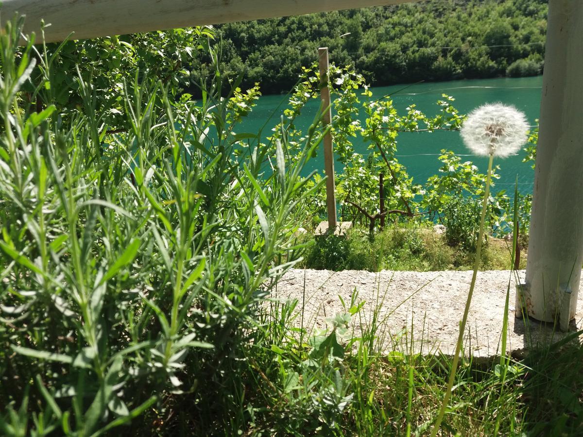 Kuca Lavanda Dreznjak Bagian luar foto