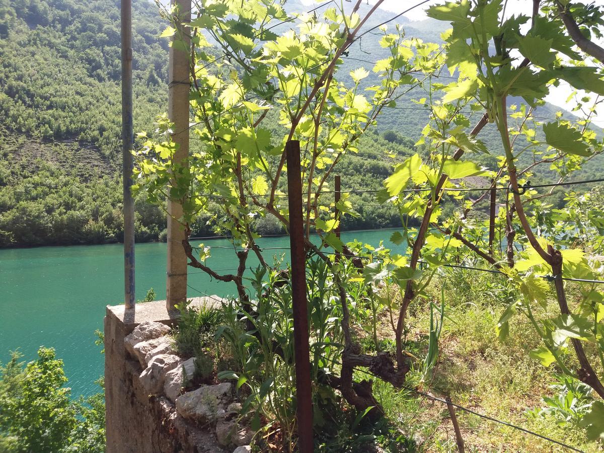 Kuca Lavanda Dreznjak Bagian luar foto