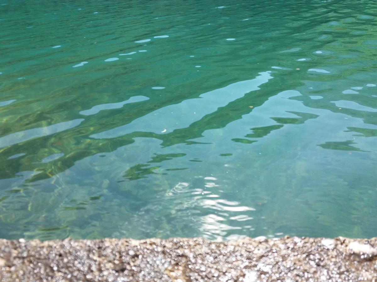 Kuca Lavanda Dreznjak Bagian luar foto