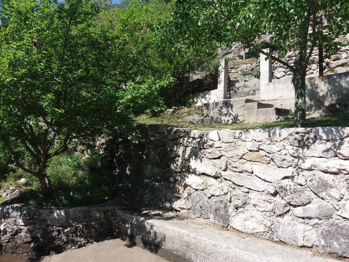Kuca Lavanda Dreznjak Bagian luar foto