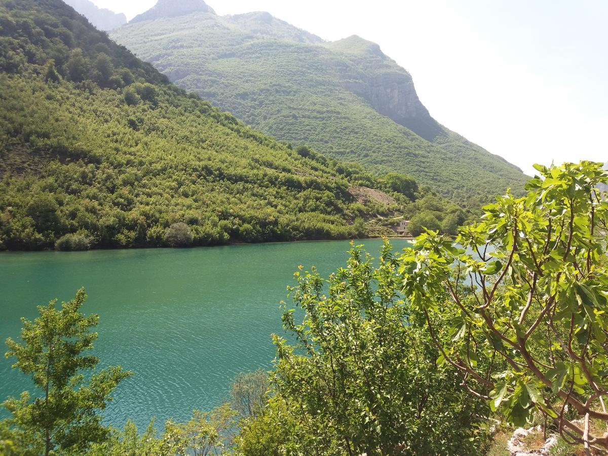 Kuca Lavanda Dreznjak Bagian luar foto