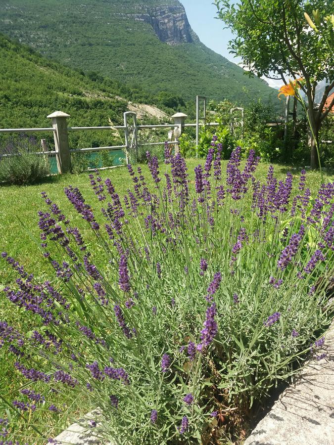 Kuca Lavanda Dreznjak Bagian luar foto