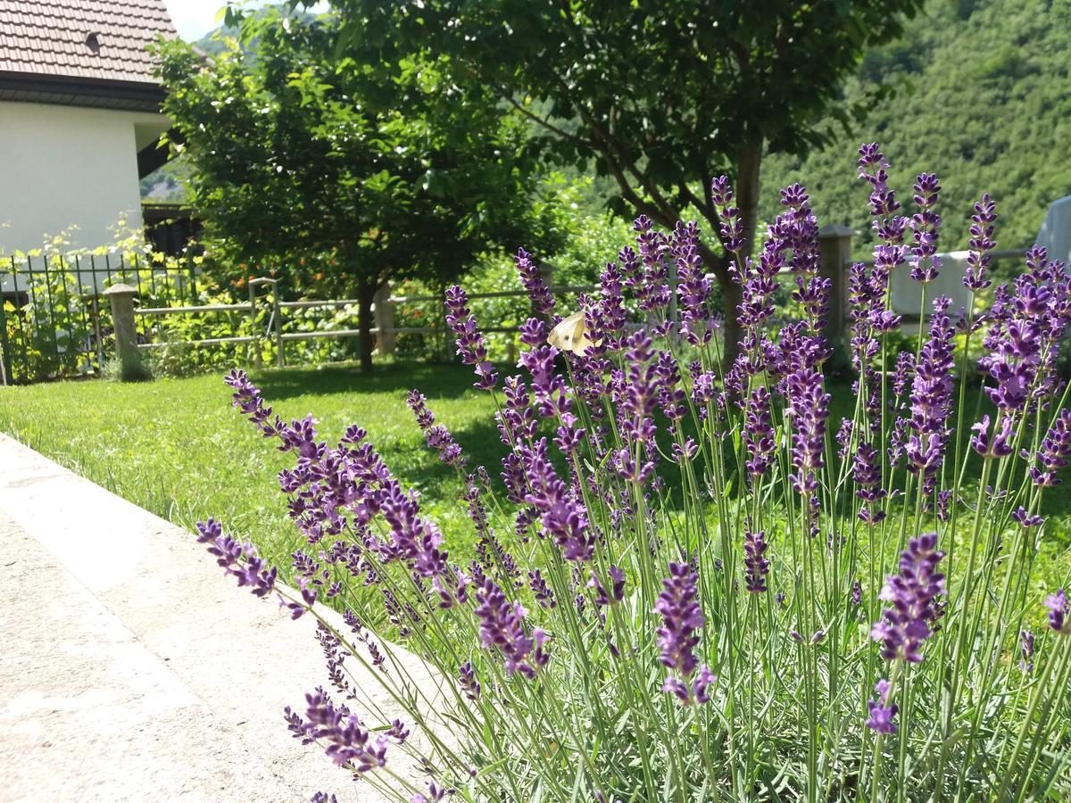 Kuca Lavanda Dreznjak Bagian luar foto